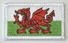 Aufnäher Flagge Wales, Grösse 5 x 3 cm