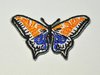Aufnäher Schmetterling Edelfalter, Größe 5,5 x 3,5 cm - weiß-orange mit Bügelbeschichtung