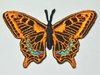 Aufnäher Schmetterling Schwalbenschwanz, Größe 6,5 x 4,2 cm - orange-schwarz mit Bügelbeschichtung