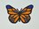 Aufnäher Schmetterling Butterfly, Grösse 5 x 3,5 cm - schwarz-orange mit Bügelbeschichtung